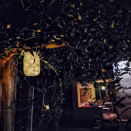 Maria Teresa Capo Vaticano