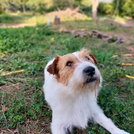 Prázdninový dům Maria Teresa