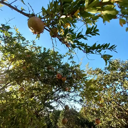 Ferienhaus Maria Teresa Capo Vaticano