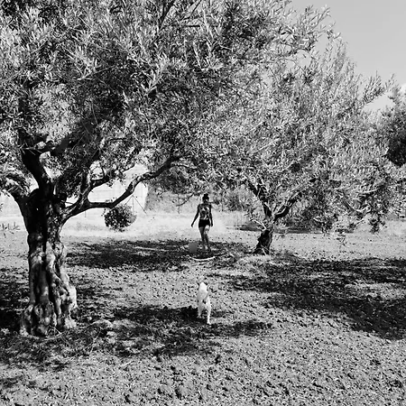 Prázdninový dům Maria Teresa