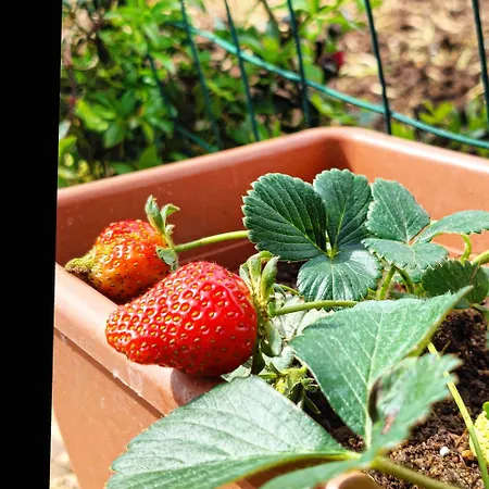 Maria Teresa Prázdninový dům Capo Vaticano