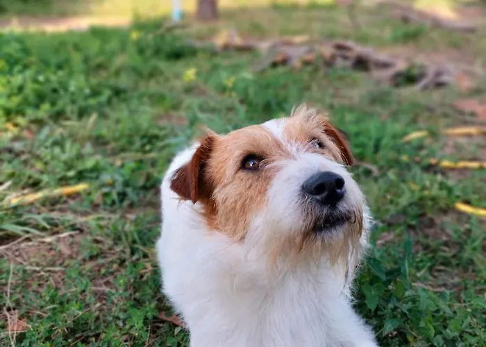 度假居 Maria Teresa