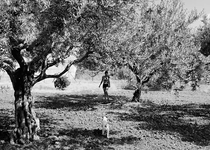 度假居 Maria Teresa